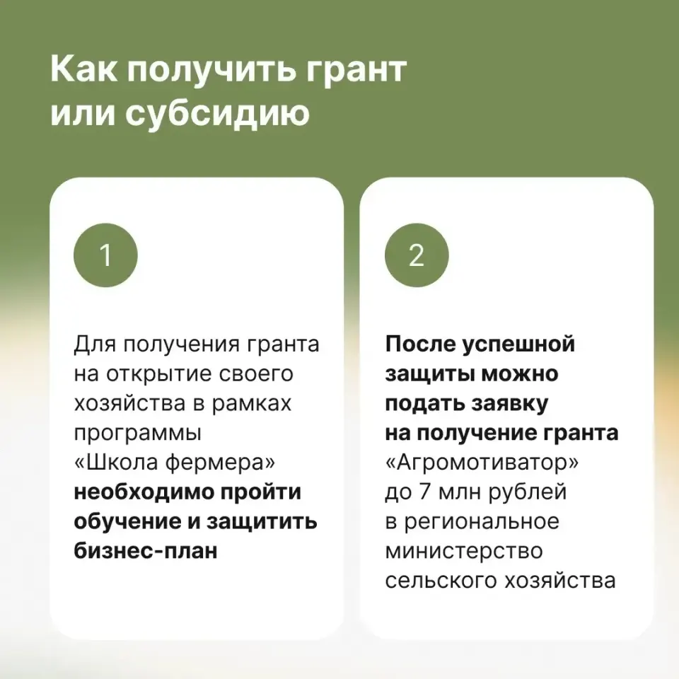 Фото из поста