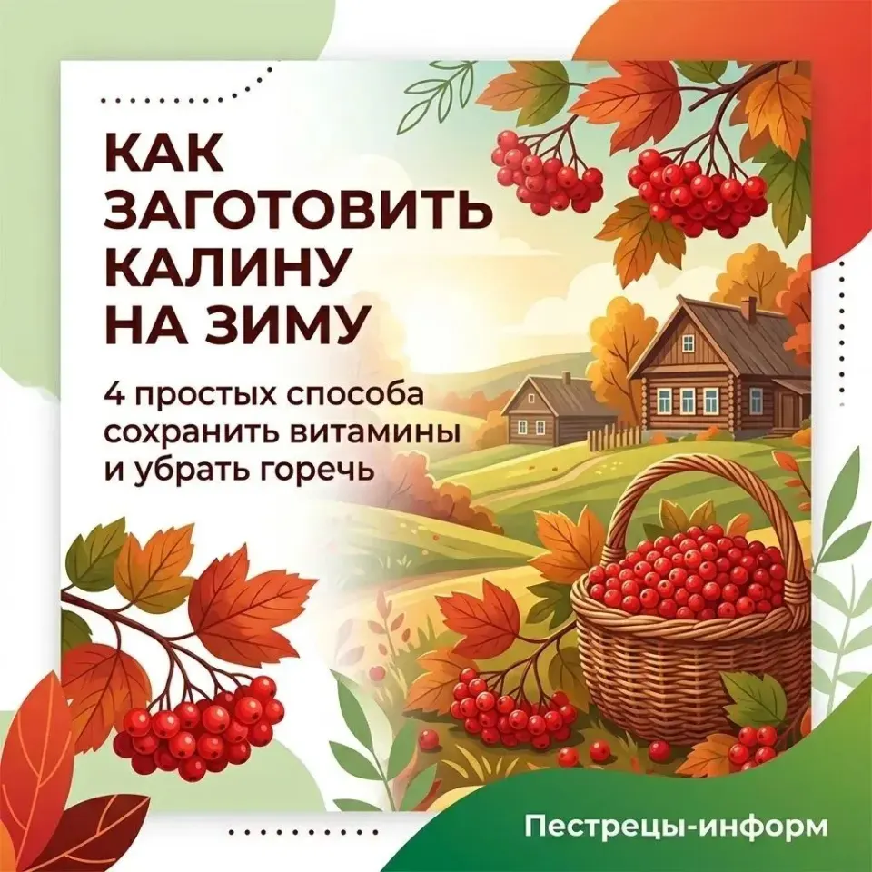 Фото из поста