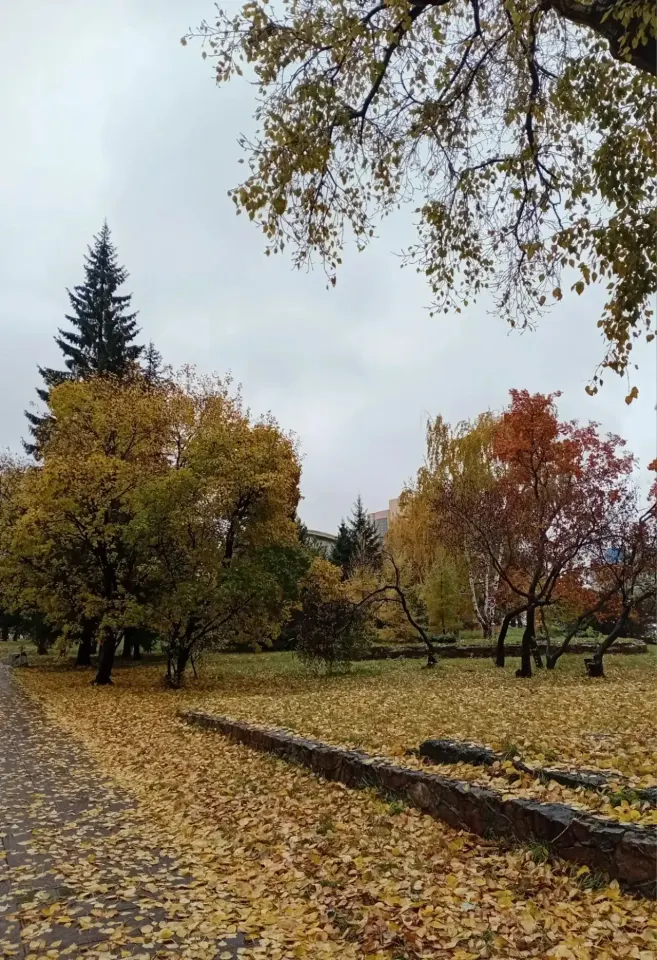 Фото из поста