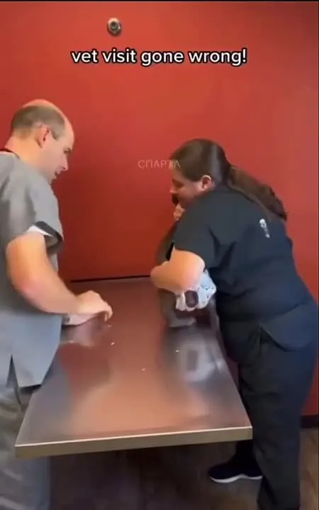 Обложка видео