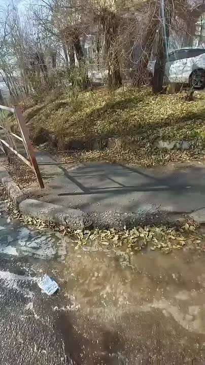 Обложка видео