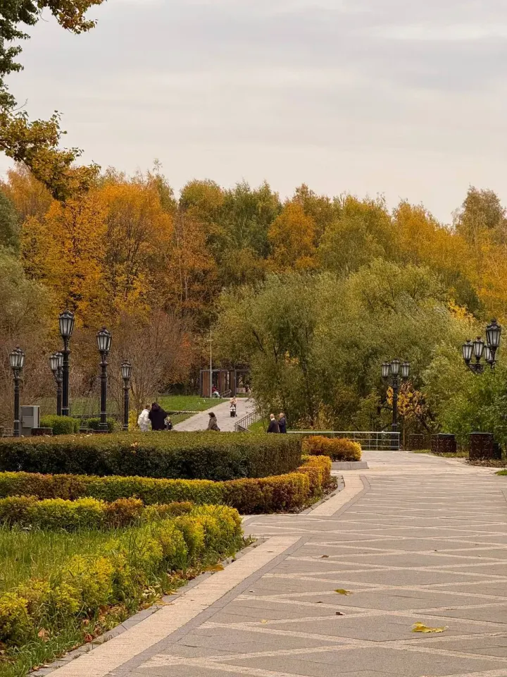 Фото из поста