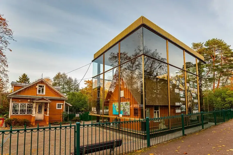Фото из поста