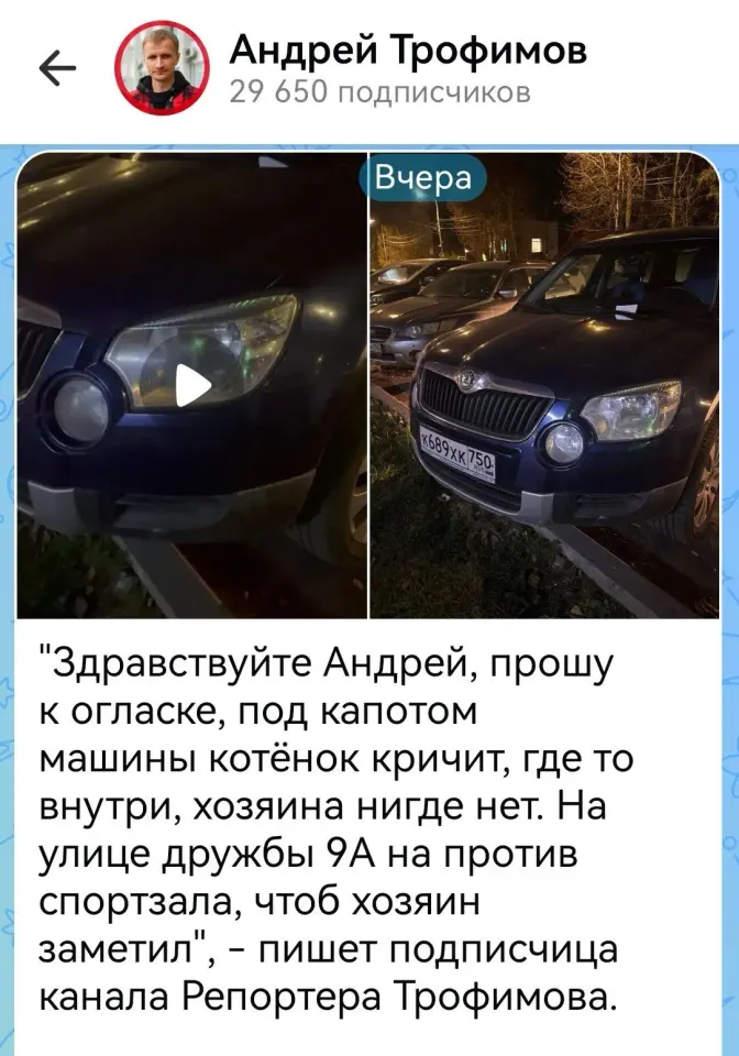 Фото из поста