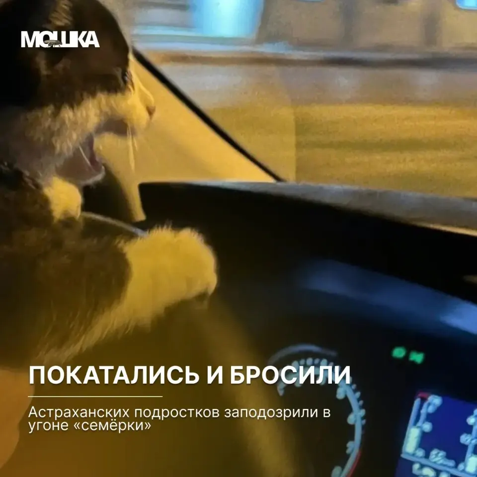 Фото из поста
