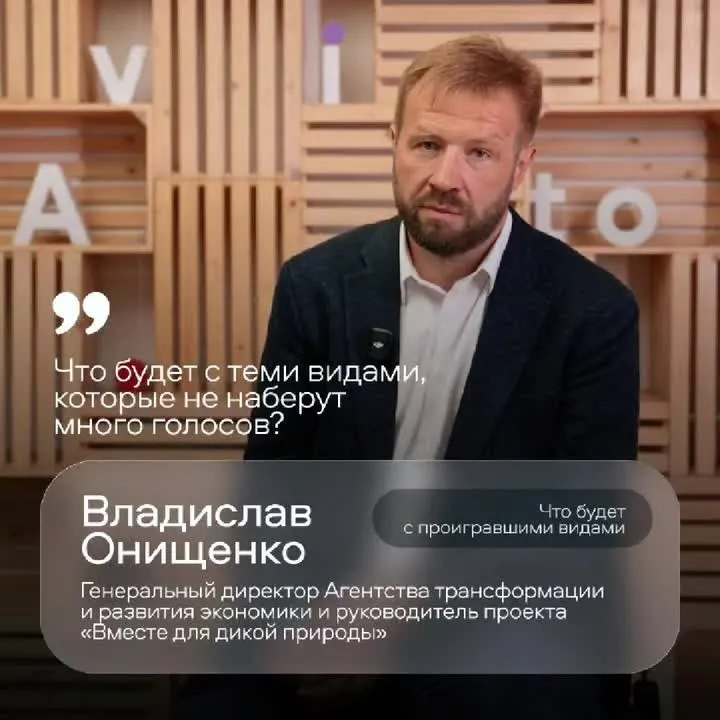 Обложка видео