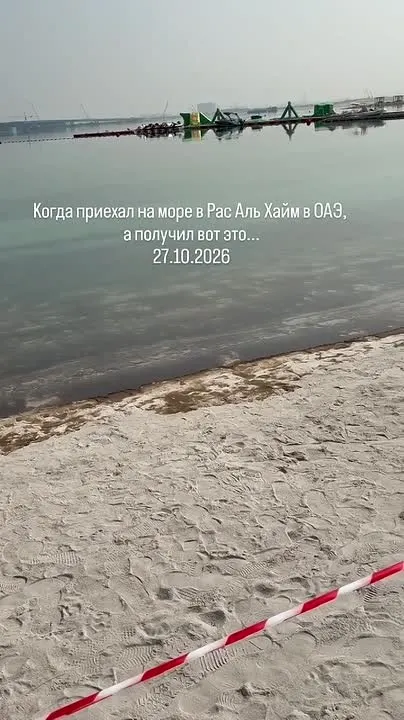 Обложка видео