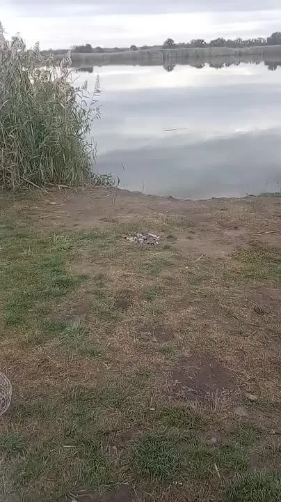 Обложка видео