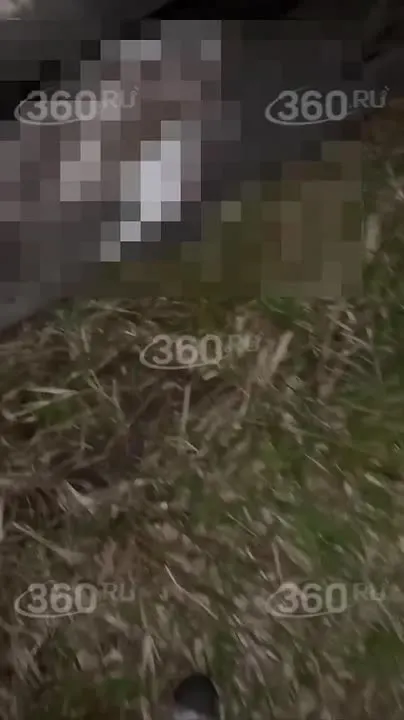 Обложка видео
