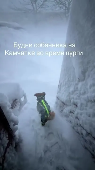 Обложка видео