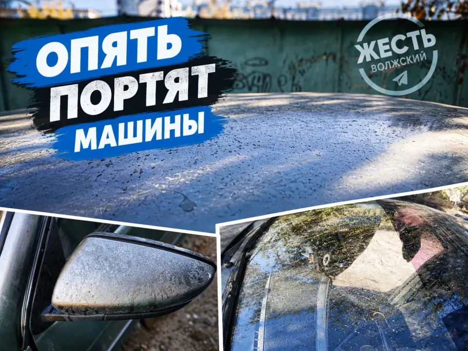 Фото из поста