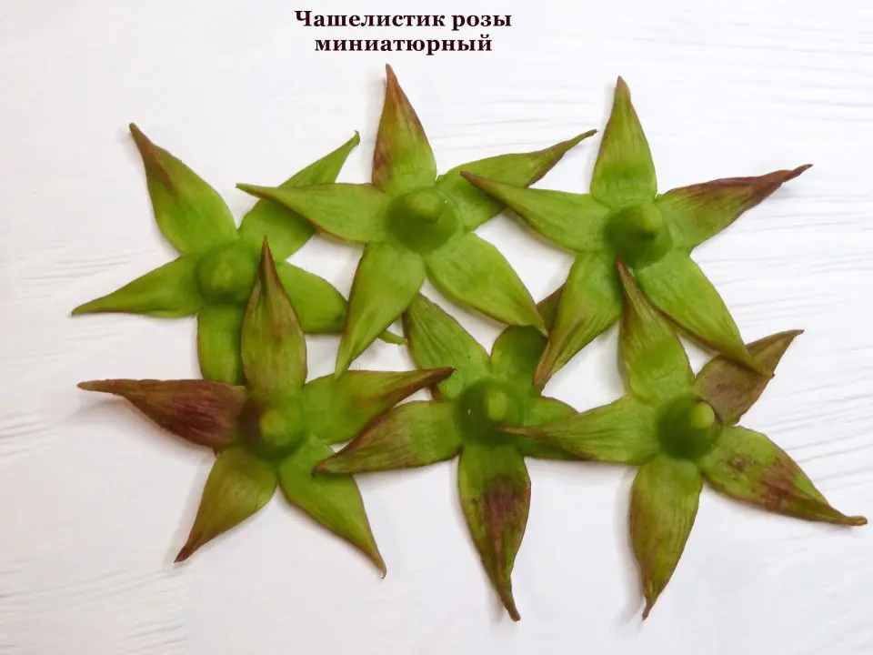 Фото из поста