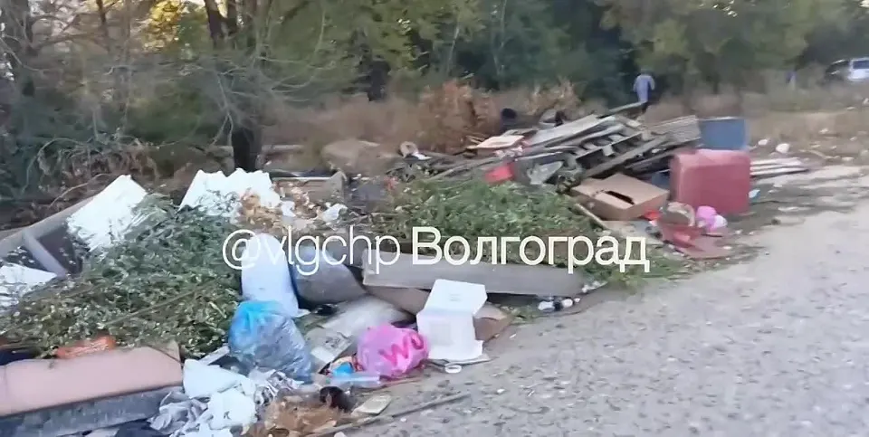 Обложка видео