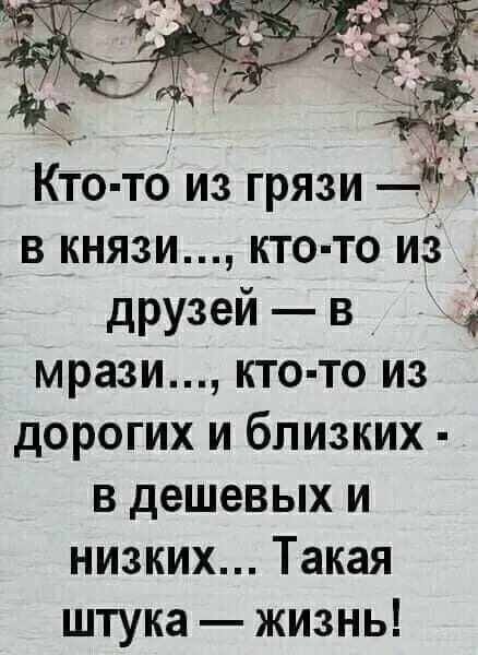 Фото из поста