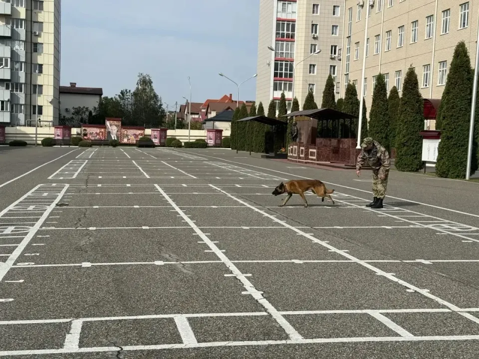 Фото из поста
