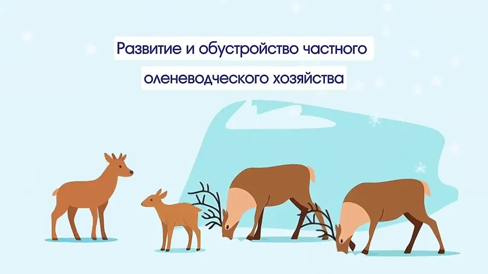 Обложка видео
