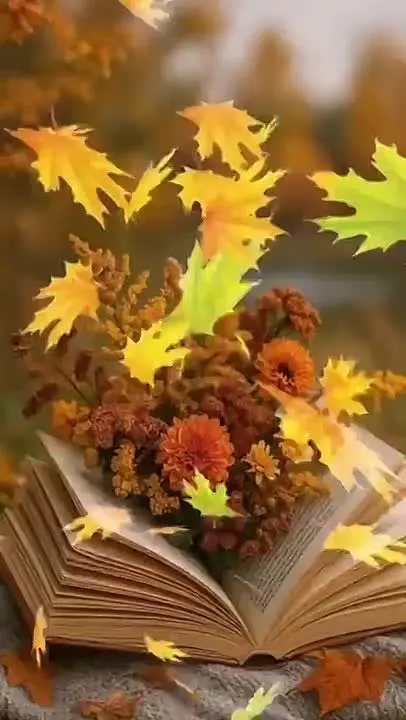 Обложка видео