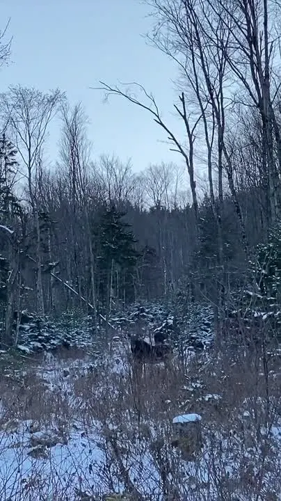 Обложка видео