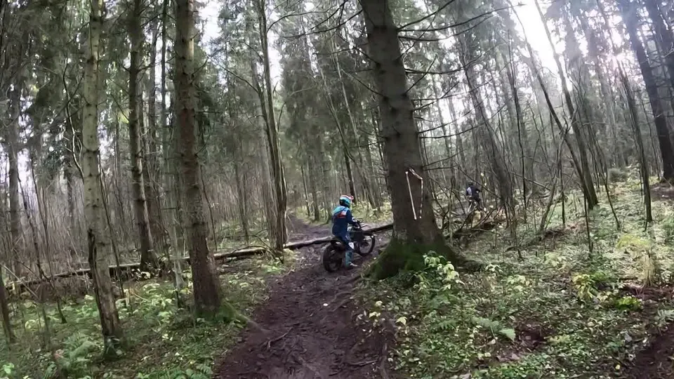 Обложка видео