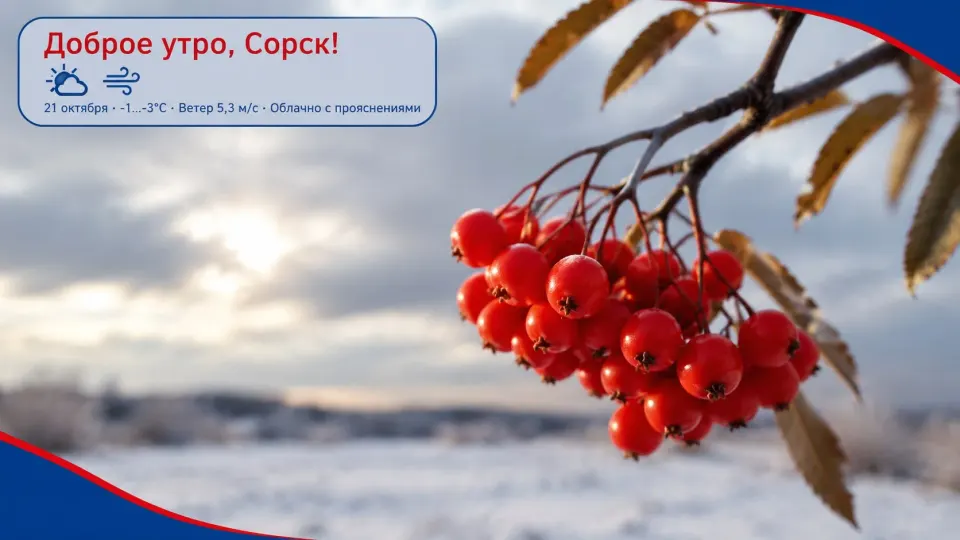 Фото из поста