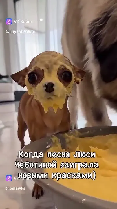 Обложка видео