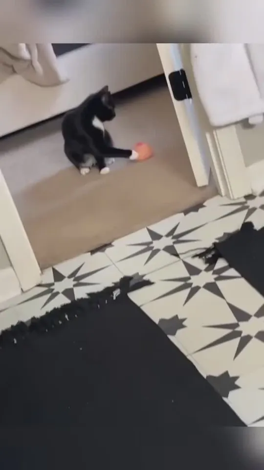 Обложка видео