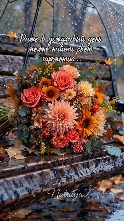 Обложка видео