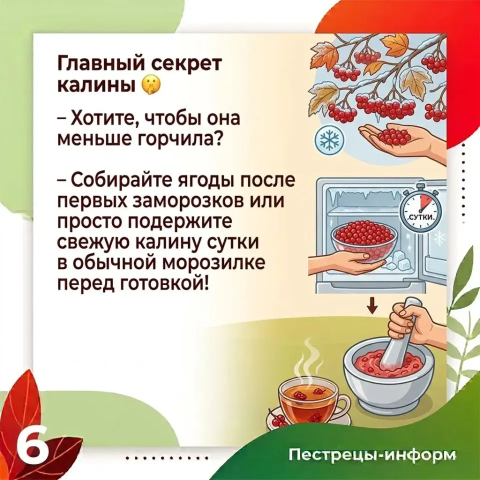Фото из поста