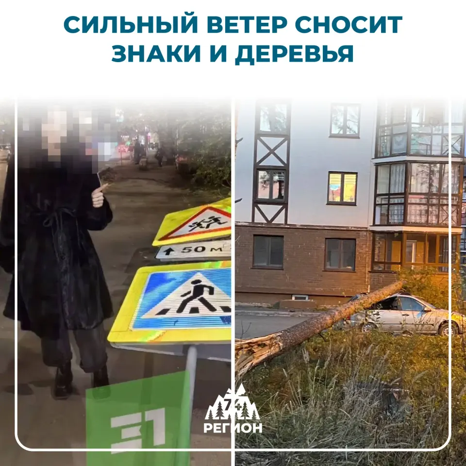 Фото из поста
