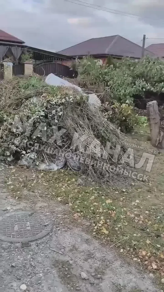 Обложка видео