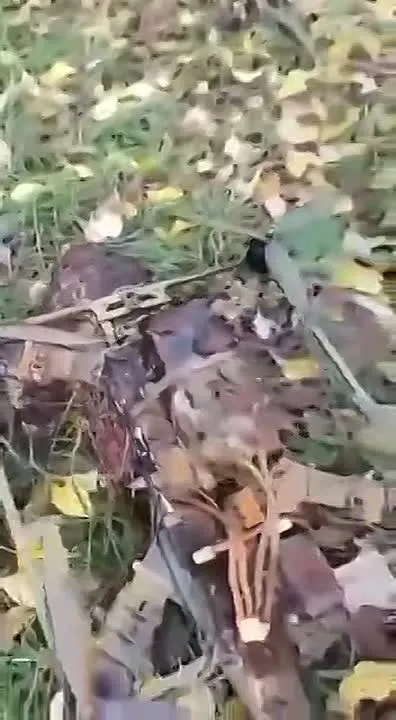 Обложка видео