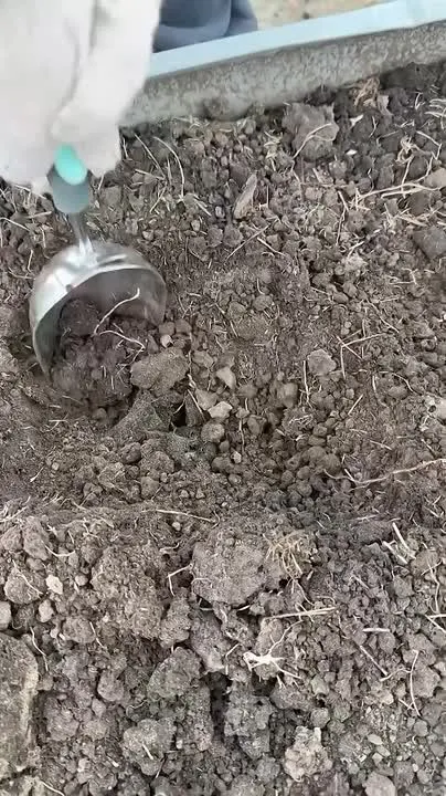 Обложка видео