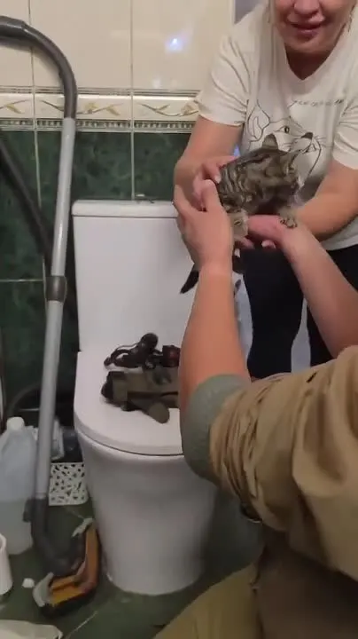 Обложка видео