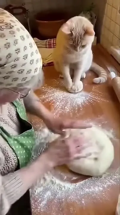 Обложка видео