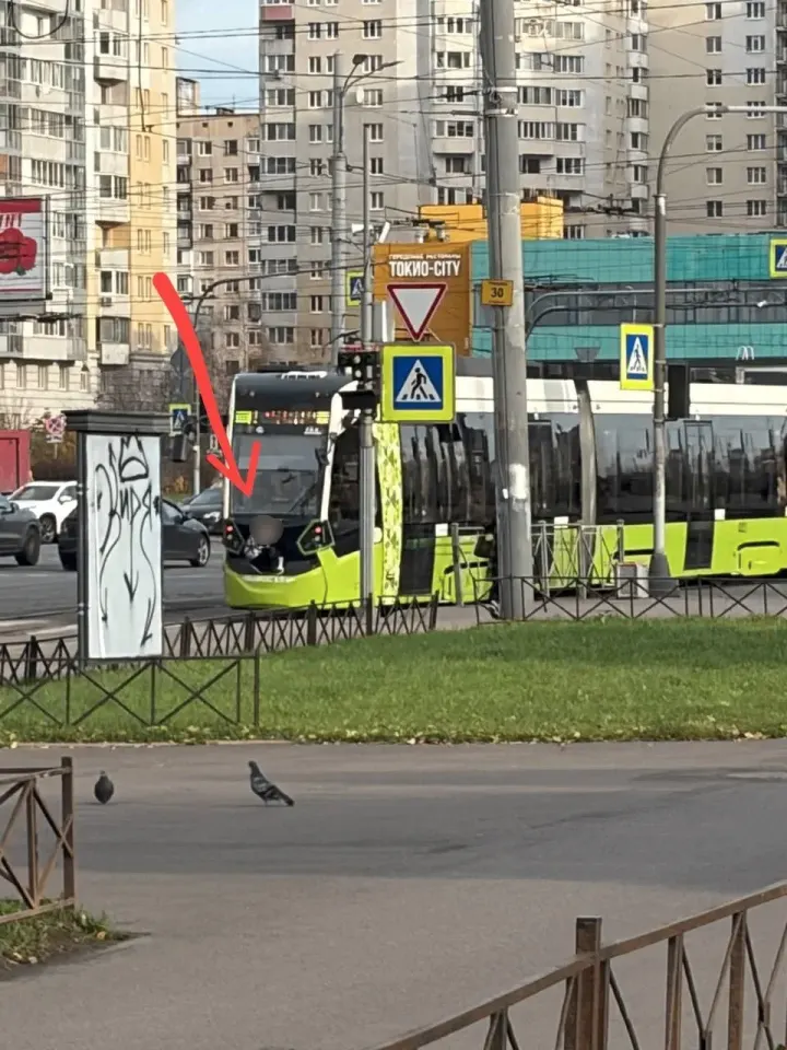 Фото из поста