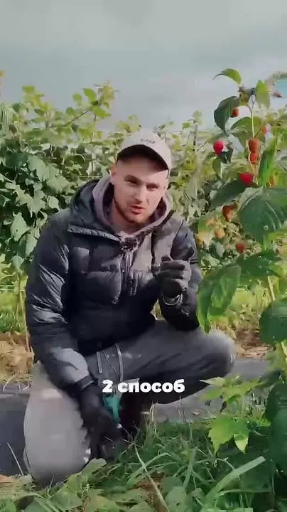 Обложка видео