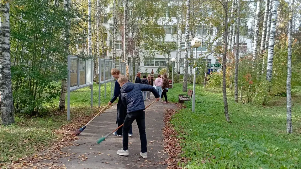 Фото из поста