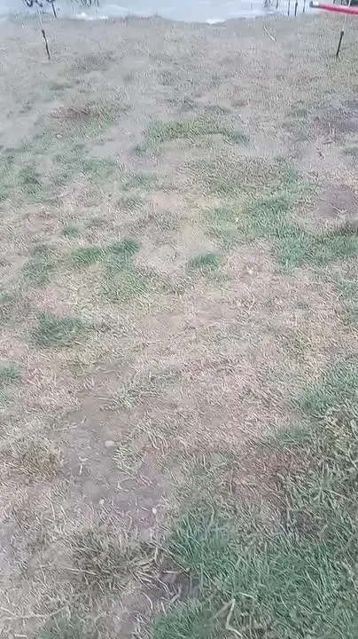 Обложка видео
