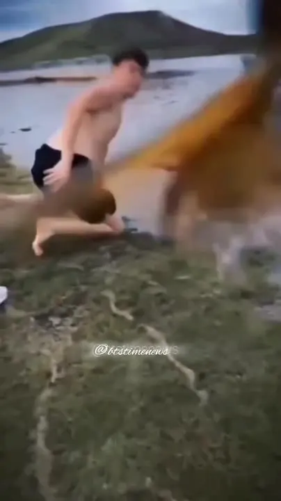 Обложка видео