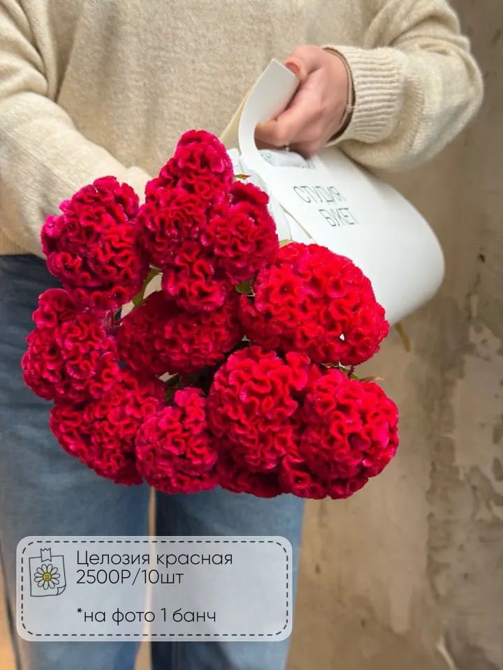 Фото из поста