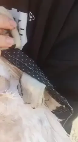 Обложка видео