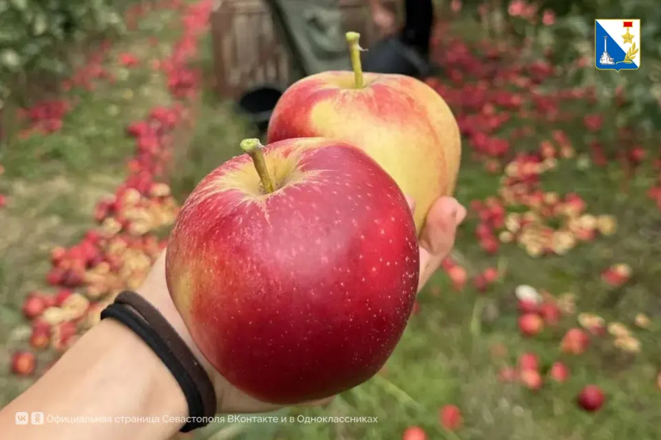 Фото из поста