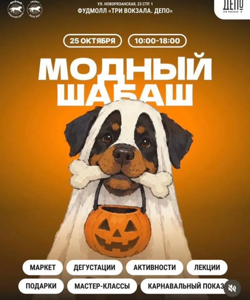 Фото из поста