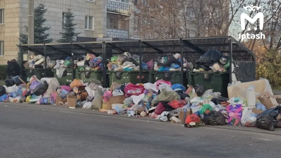Фото из поста