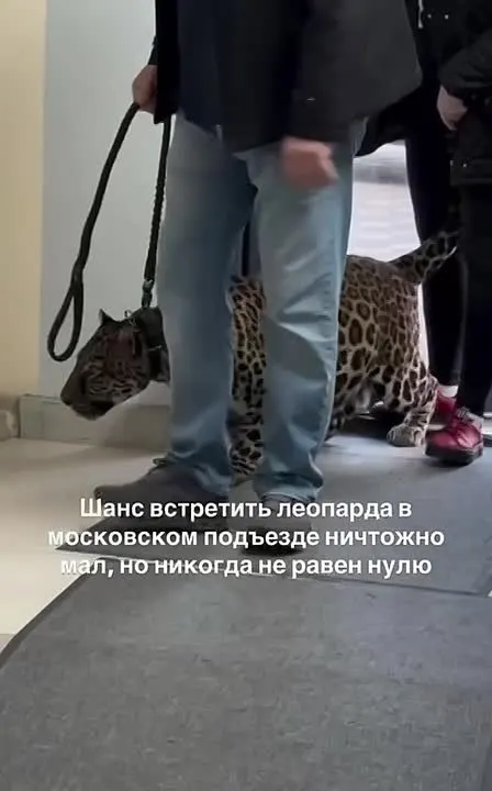 Обложка видео
