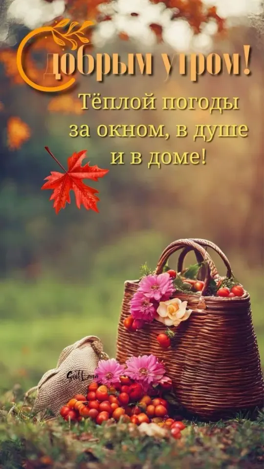 Фото из поста