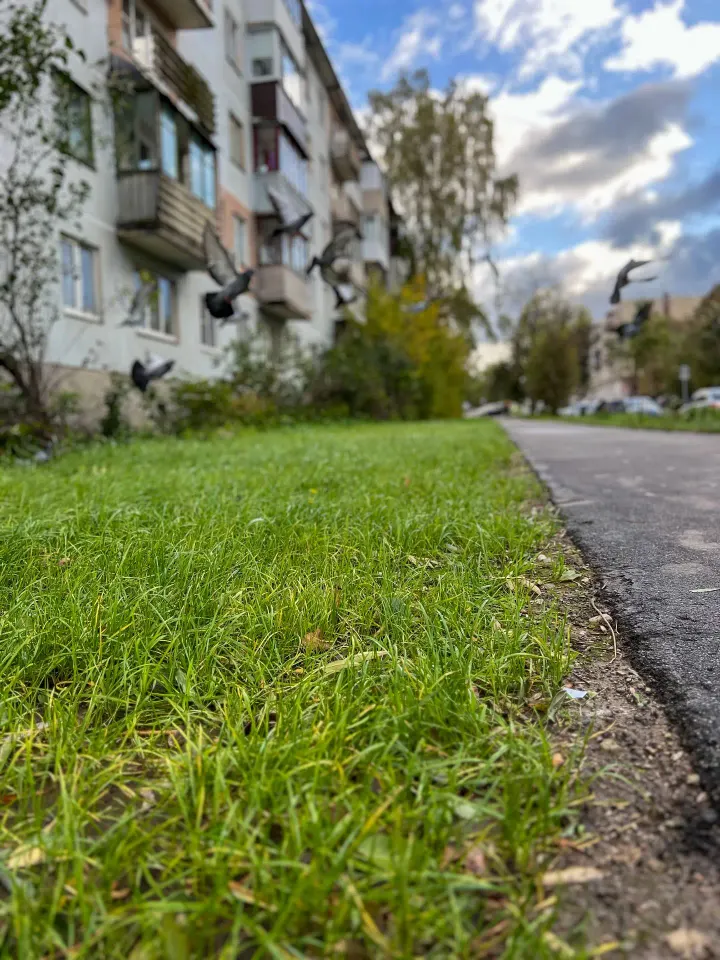 Фото из поста
