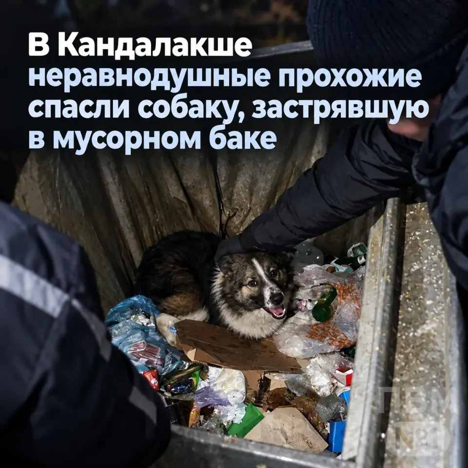 Фото из поста