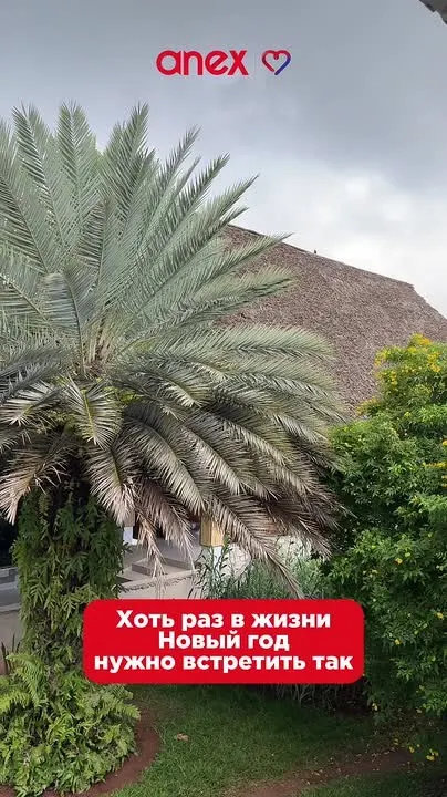 Обложка видео