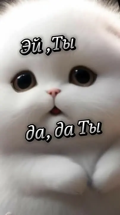 Обложка видео